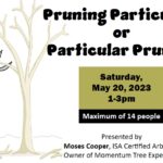 Moses Cooper Presents on Pruning