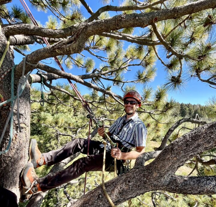 Caleb Leland, ISA-Certified Arborist