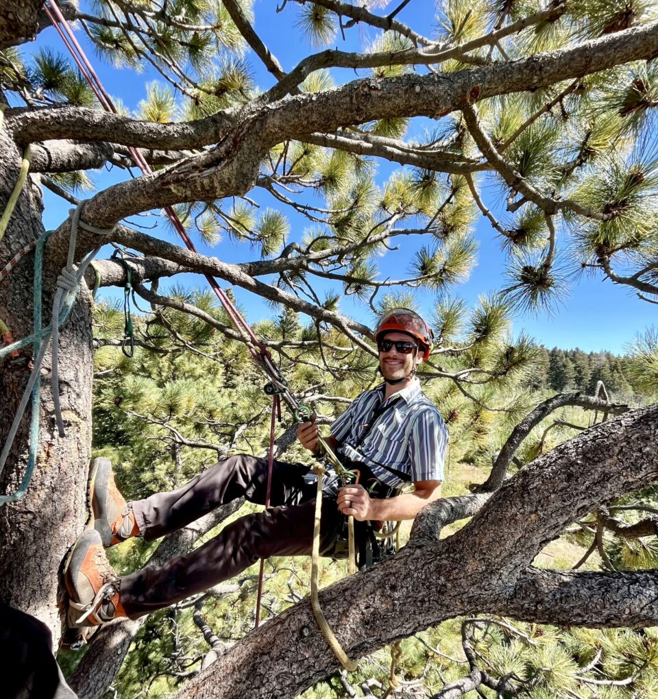 Caleb Leland, ISA-Certified Arborist