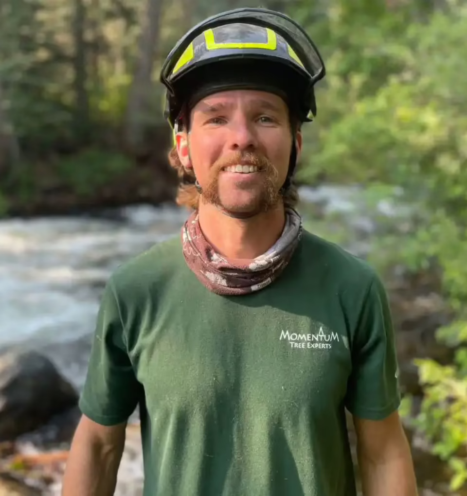 Thomas Palmer, Arborist