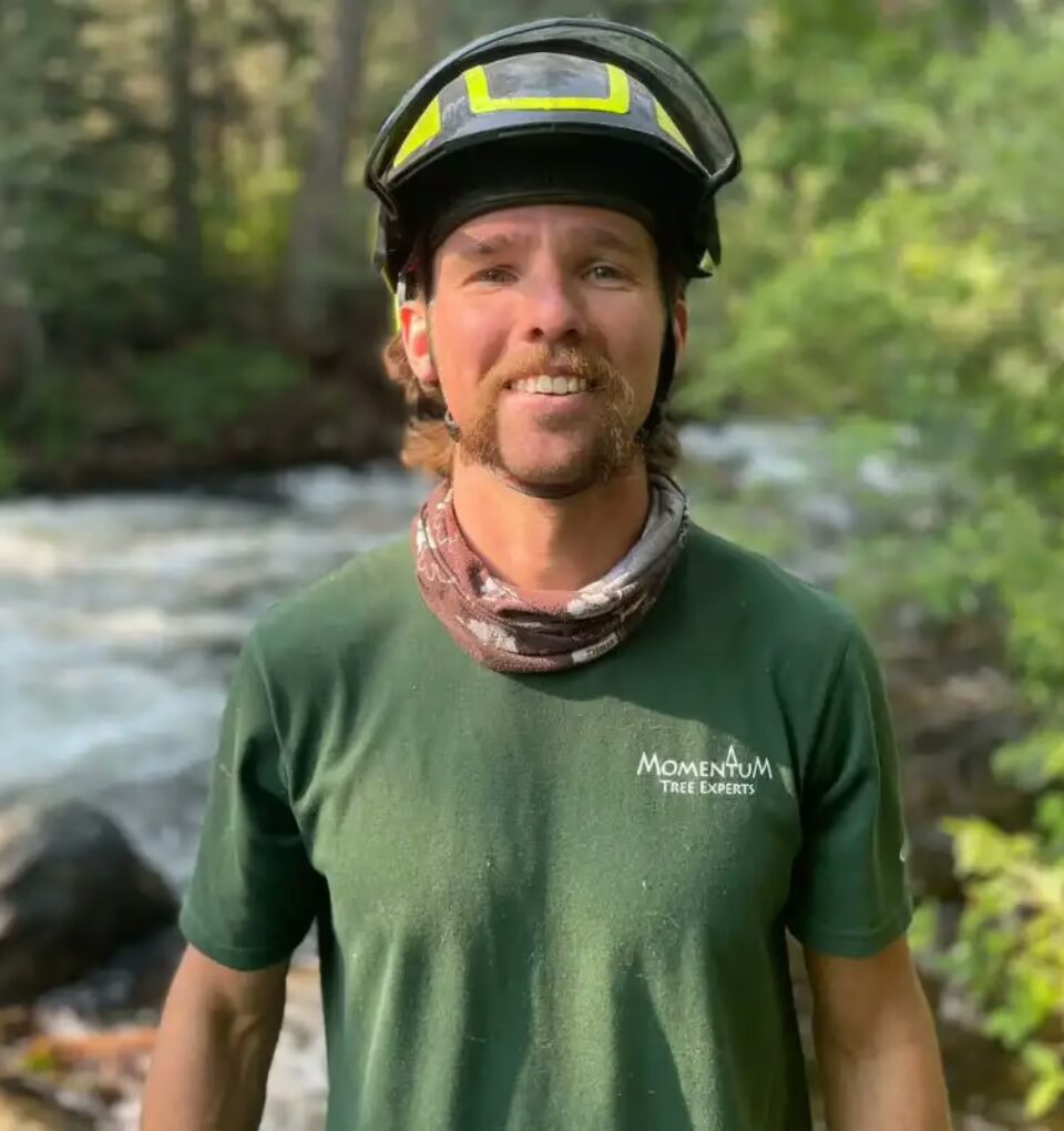 Thomas Palmer, Arborist