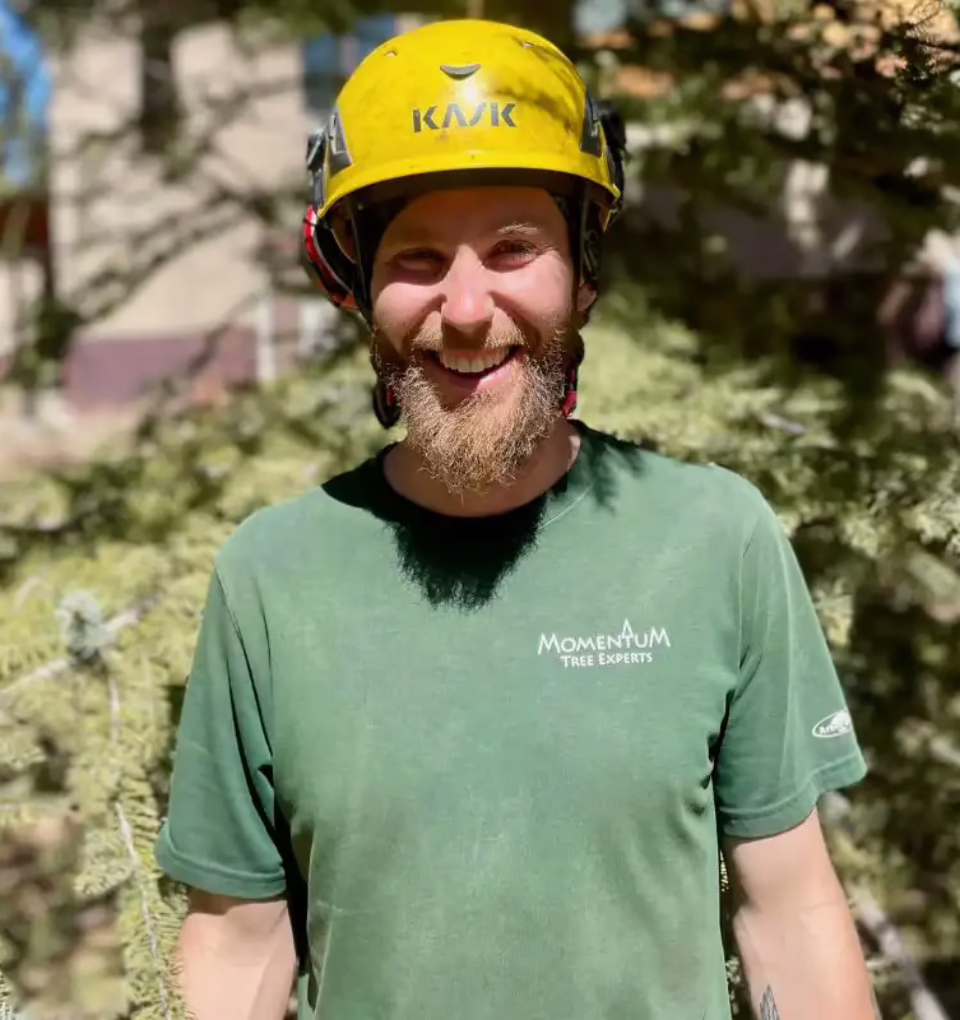 Gabe Hughes, Arborist