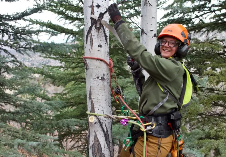 Arborists - Harmony spike removing