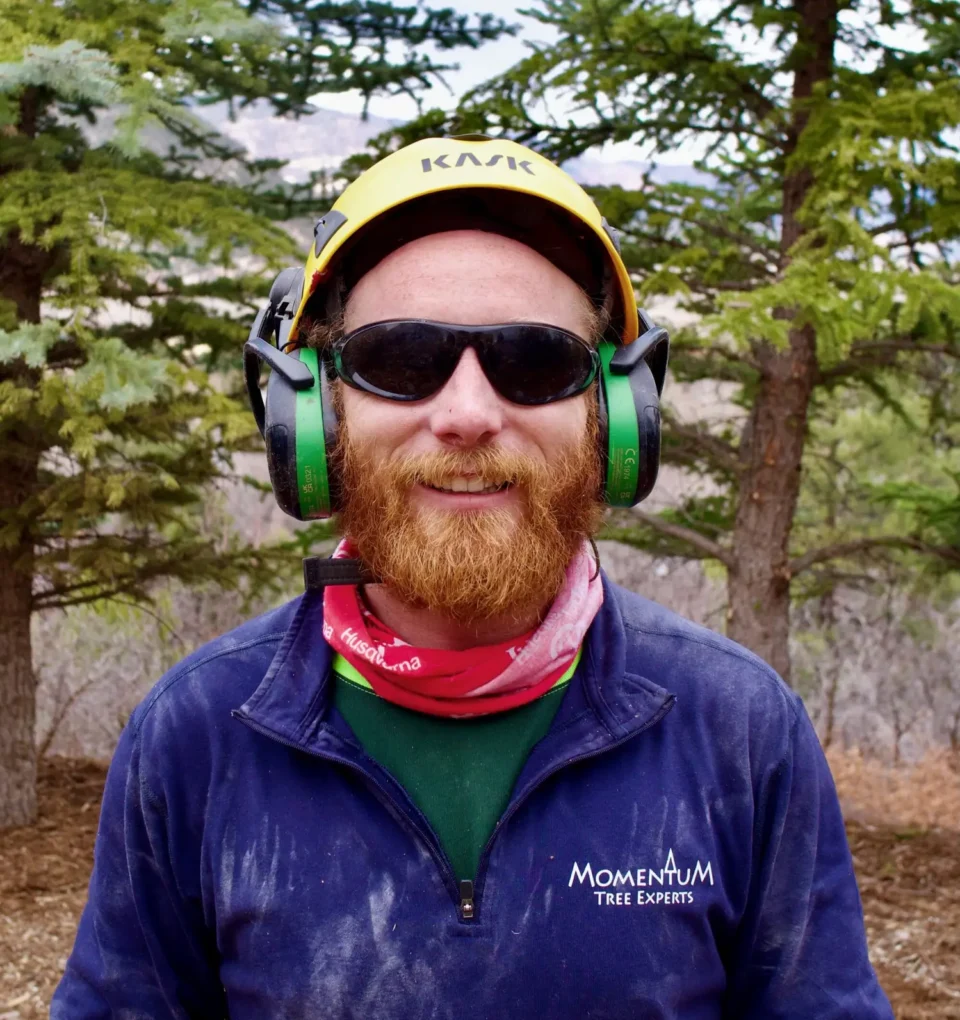 Snowden Kindler, Arborist