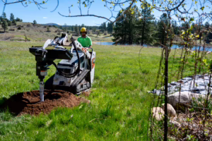 Planting & pruning young trees