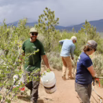 Why We Do This Work: Caring for Trees and Community in Durango, CO