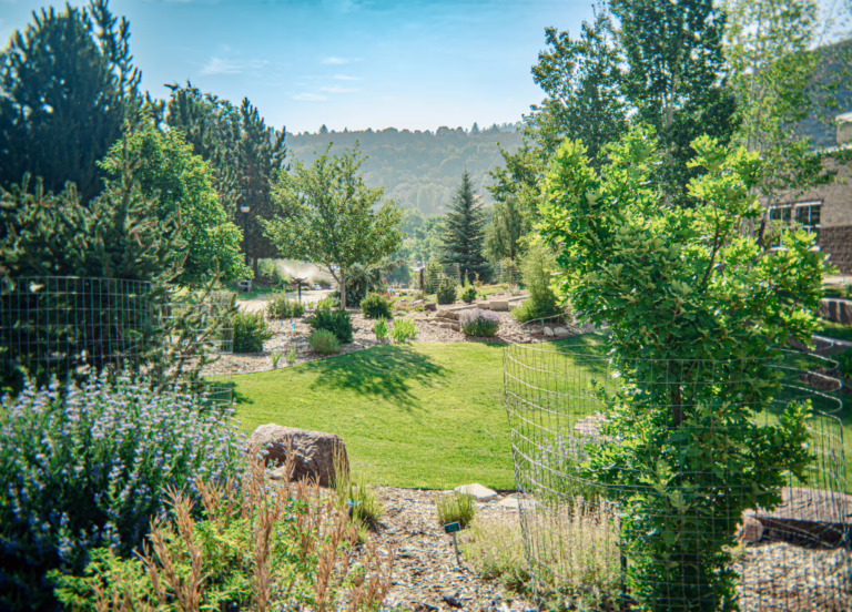 The Durango Botanic Gardens