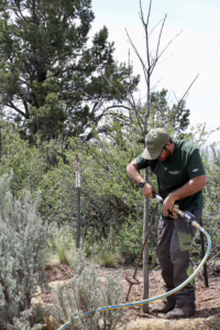 Oath Soil Life Sustainability in Durango, Colorado | Momentum Tree Experts