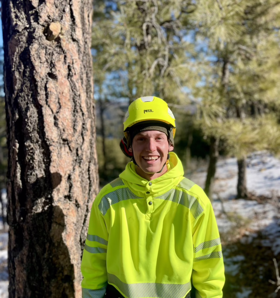 Ethan Jack, Arborist