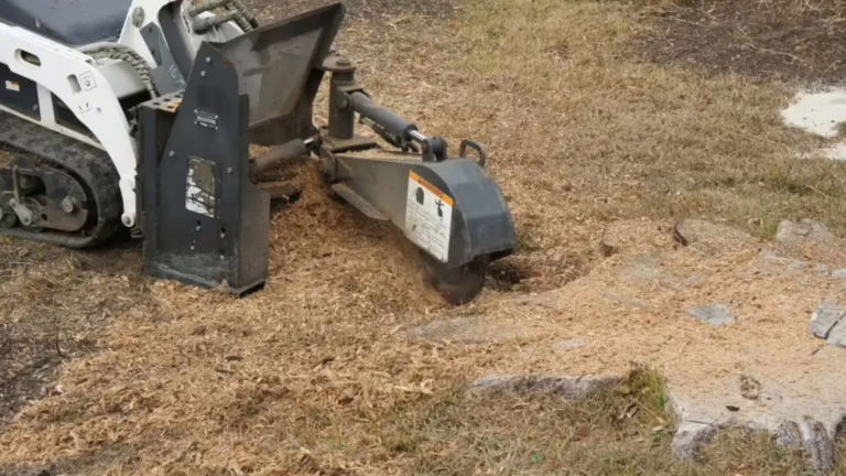 Stump grinding