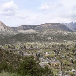How Do We Support Trees During Drought When Water Use Is Restricted?