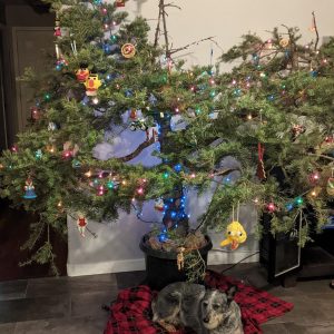 A Unique Christmas Tree