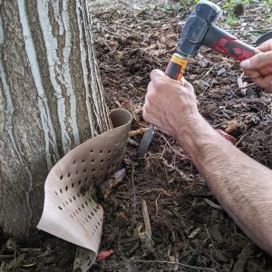 momentum-tree-experts-repair